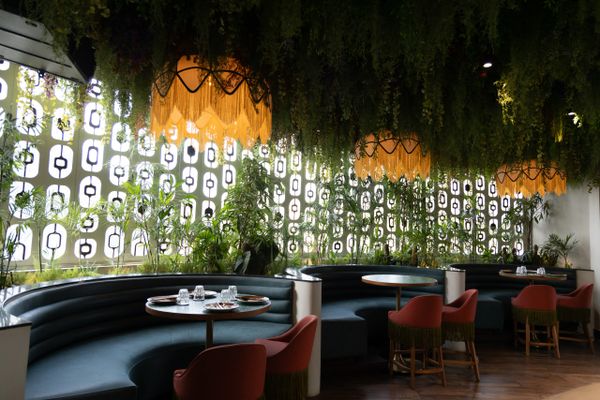 Modern restaurant interior with curved booths, red chairs, and hanging plants.
