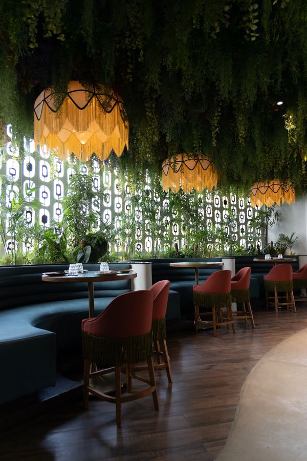 Cozy restaurant seating with hanging plants and warm lights.