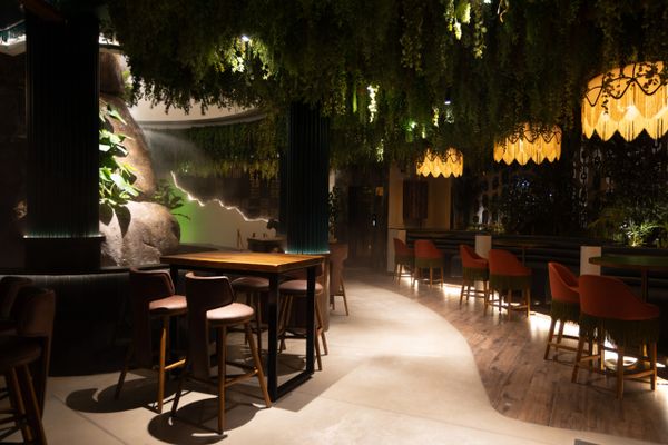 Cozy dimly lit restaurant with hanging plants and warm lighting.