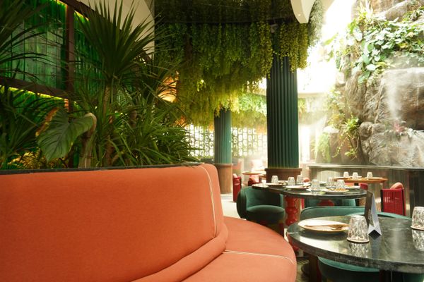 Cozy indoor seating with lush greenery and natural light.