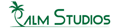Palm Studios