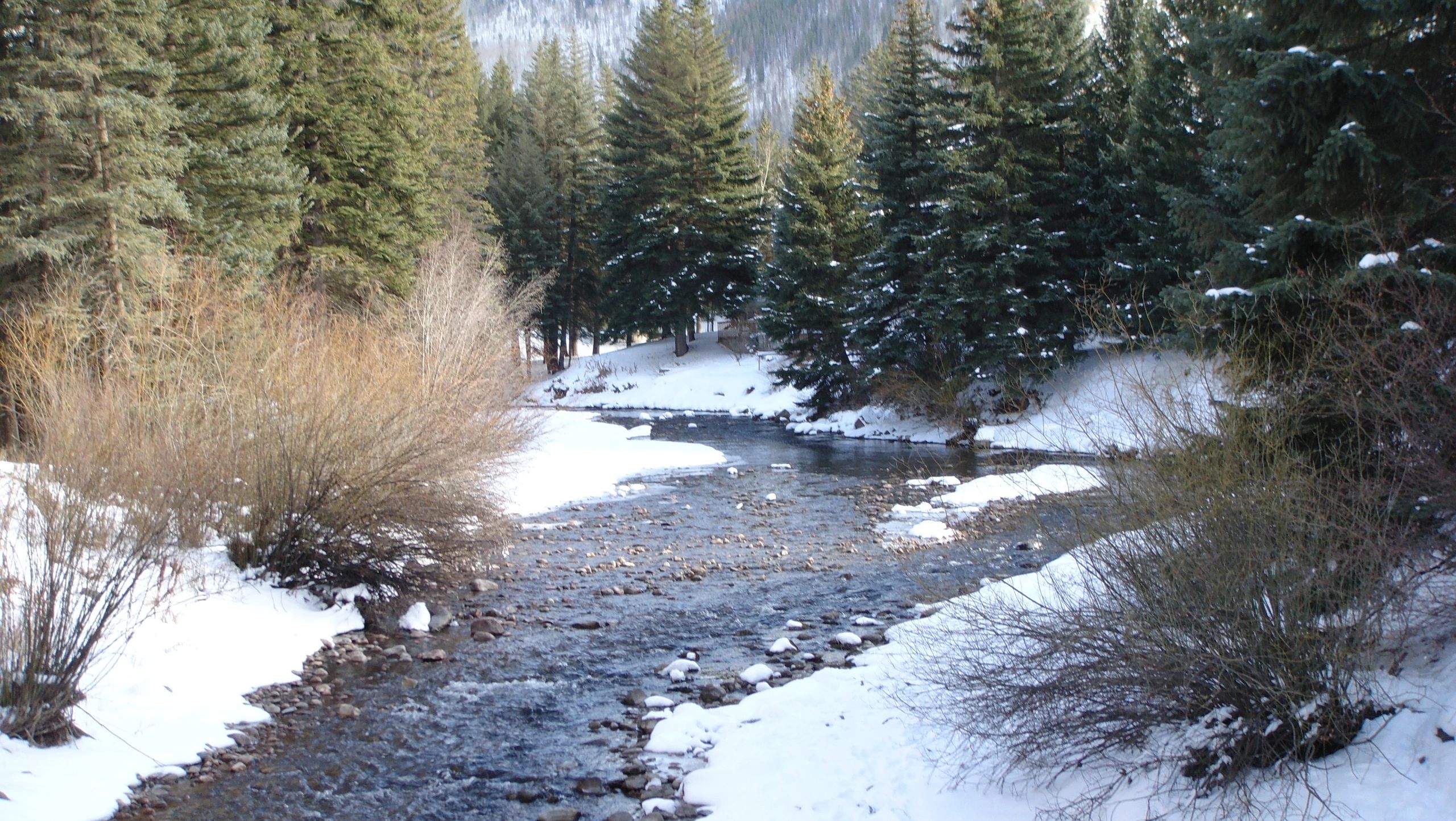 Colorado Oxygen Services