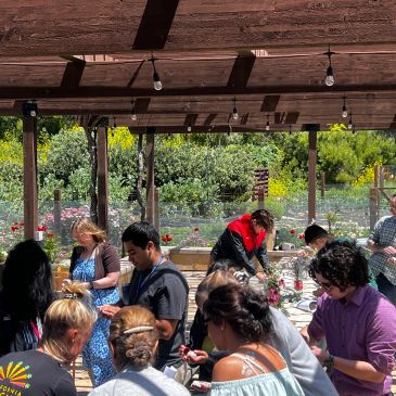 People socializing outdoors under a wooden pergola.