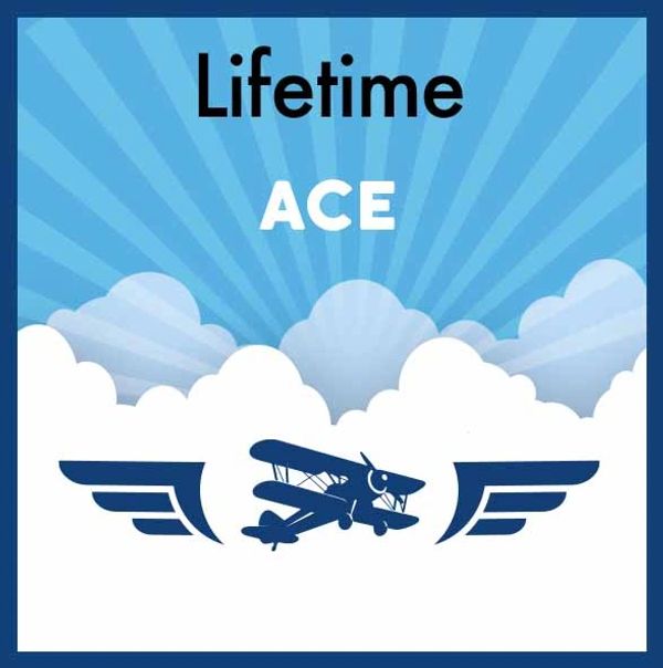 Logo of Lifetime Ace with a vintage airplane and wings on a blue sky background.