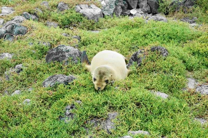 image812