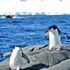 image1067