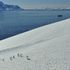 Antarctica