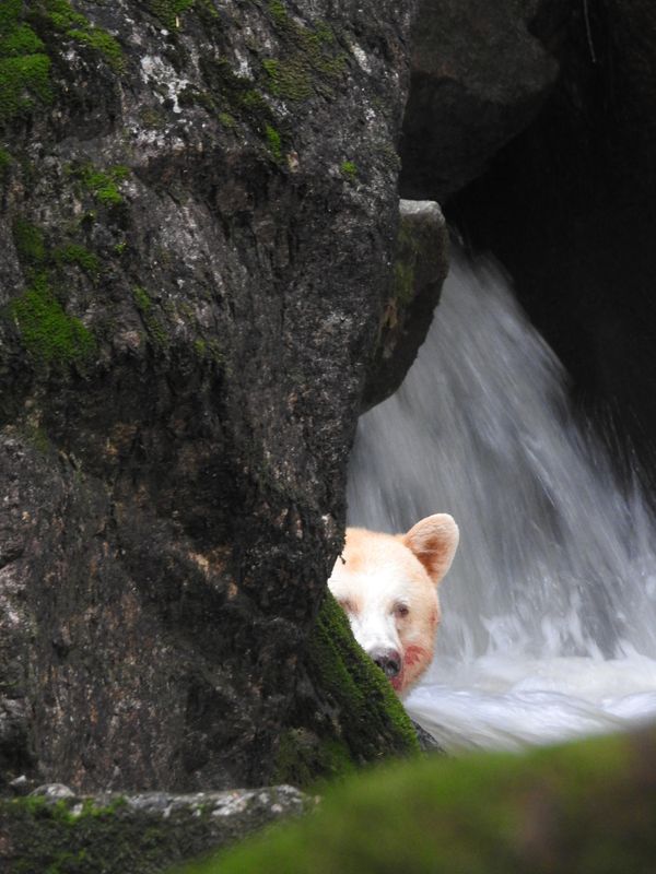 image948