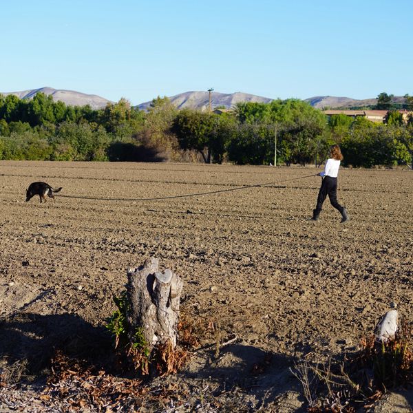 Tracking will be on Friday