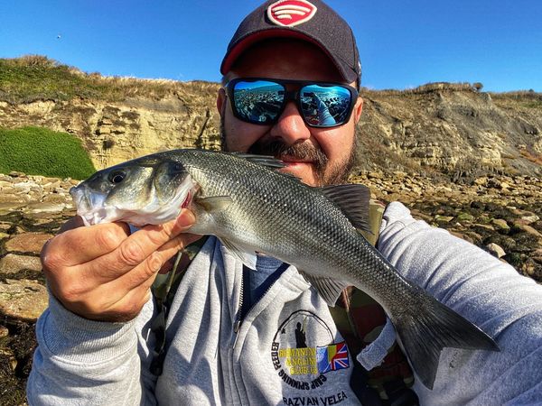 Pescuit la seabass cu naluci aertificiale #seabass #pescuitlamare #spinninglamare