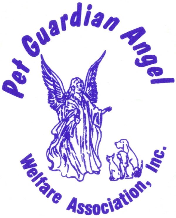 what is a guardian angel dog