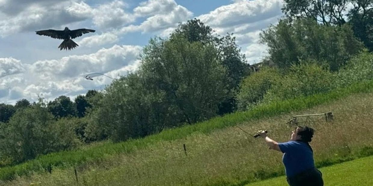 Person flying a kite while a bird flies nearby.