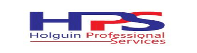 Holguin Professional Services