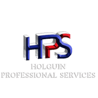 Holguin Professional Services