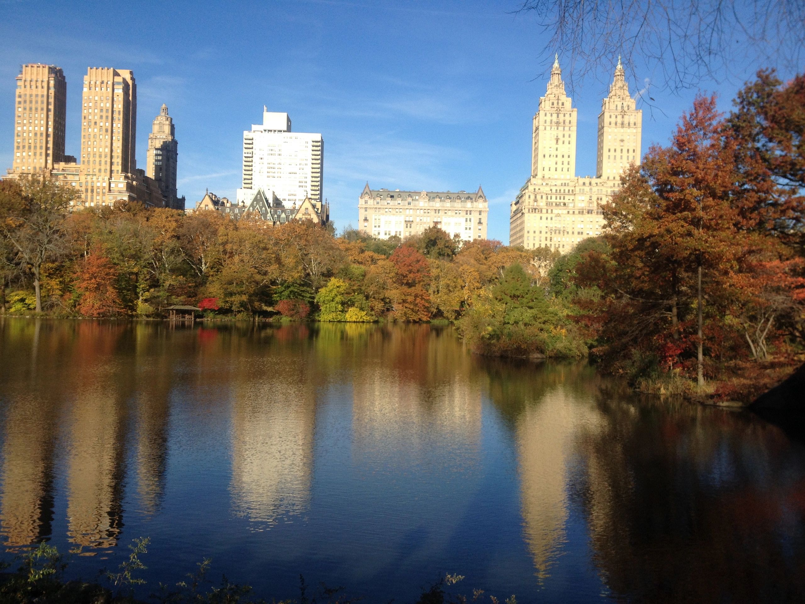 Central Park in the Fall