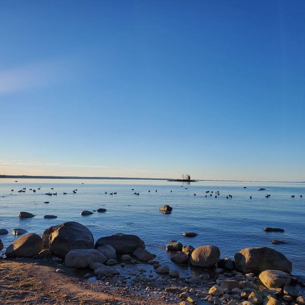 Peaceful lakeshore representing calm, nervous system regulation, healing, and psychotherapy in Ontario.