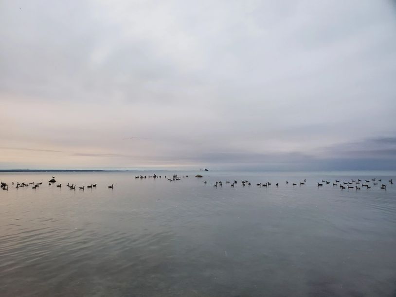 Morning mist over a peaceful lake representing hope and depression therapy in Ontario.