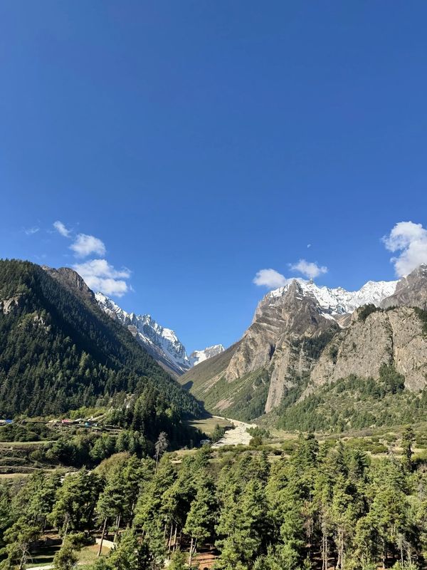 Panchachuli peaks and pine forest valley under a clear blue sky