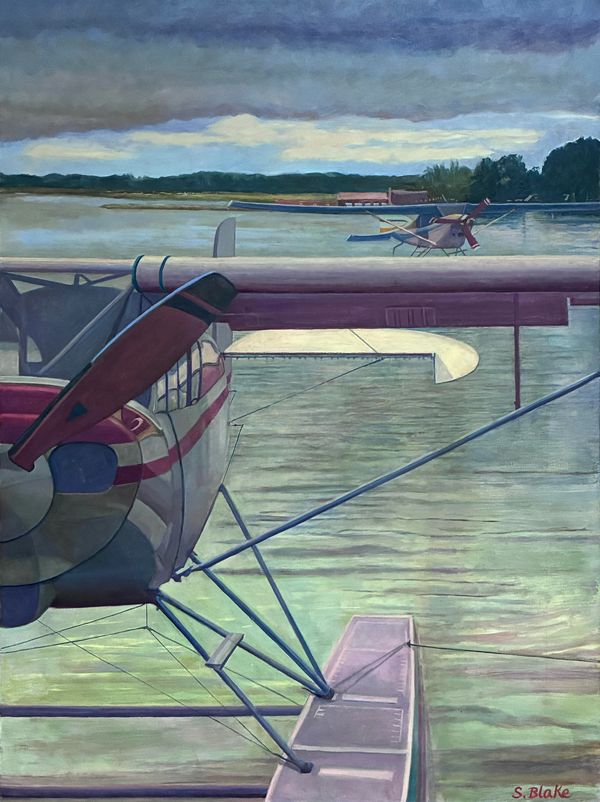 Seaplane on lake in Alaska