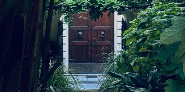 A wooden door framed by lush green plants and foliage.