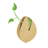 Selfseeds