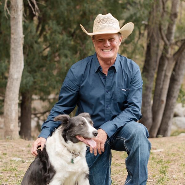 Veterinarian practice owner and operator. Dr. Franklin, DVM