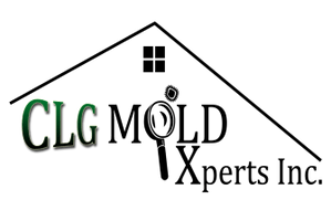 CLG Mold Xperts Inc.