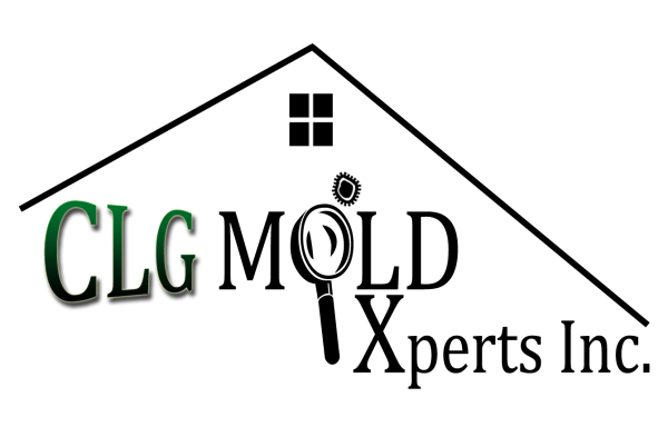 CLG Mold Xperts Inc.