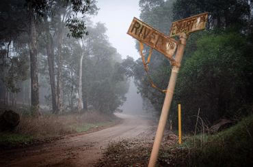 Foggy dirt road with a leaning wooden street sign in a forest.