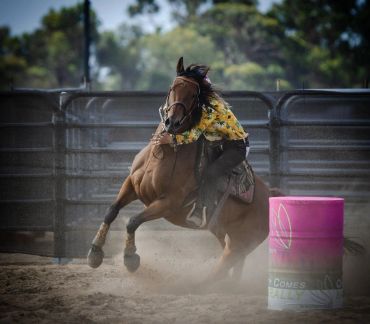 Horse and rider making a sharp turn around a pink barrel in a rodeo arena.
