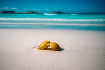 Two yellow seashells on white sandy beach with turquoise ocean in background.