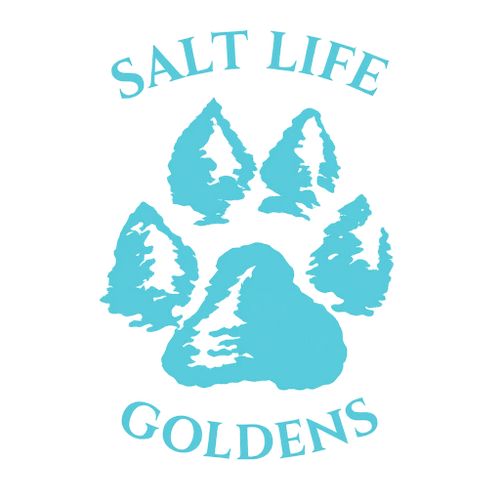 Blue paw print logo with text 'Salt Life Goldens'.