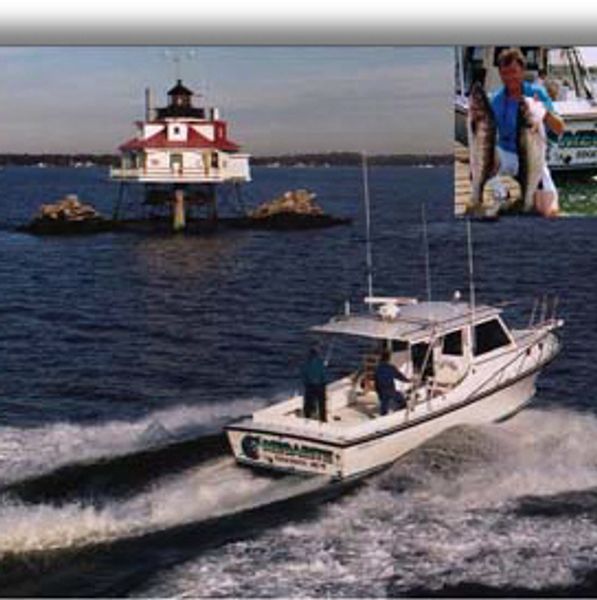 Boat speeding near a lighthouse with an inset of a fisherman holding a large catch.