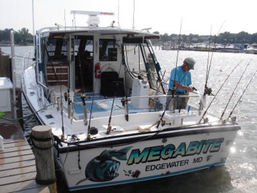 MegaBite Fishing Charters Annapolis Fishing Charters, Striped Bass