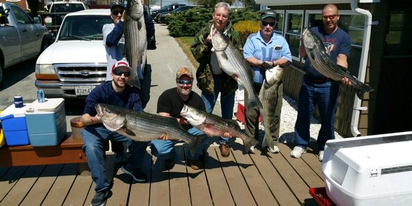 Annapolis fishing Charters MegaBite
