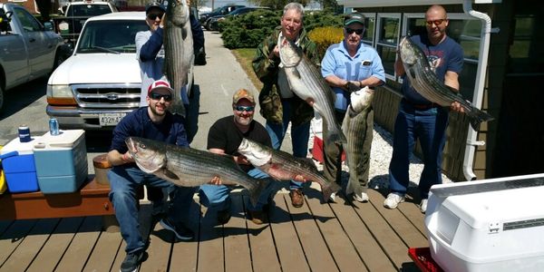 Annapolis fishing