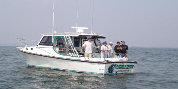 Annapolis fishing Charters MegaBite