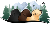 Three Peaks Labradors and Training