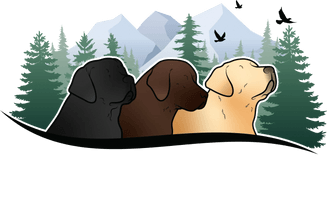 Three Peaks Labradors and Training