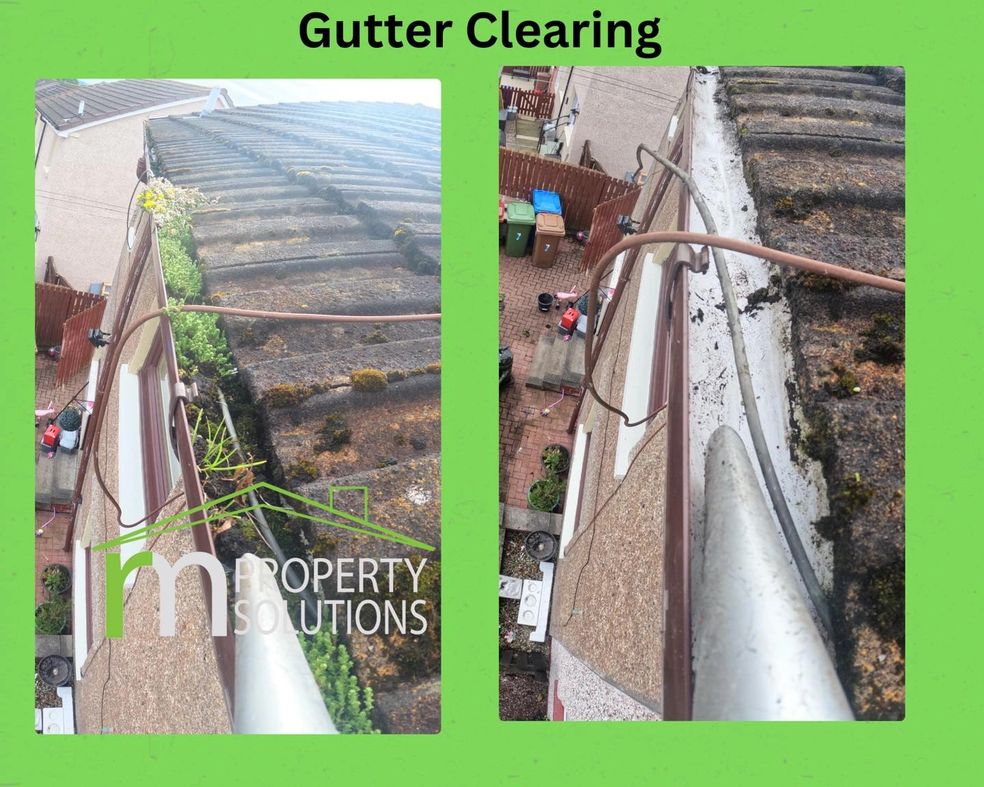 Gutter cleaning