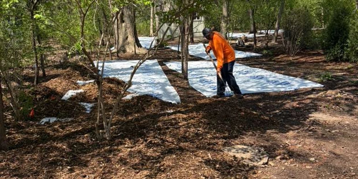 Person working in a wooded area with white ground covers and mulch.