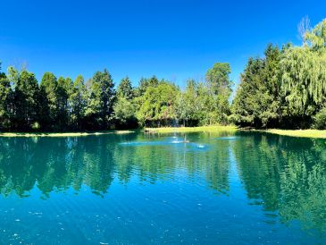 A clear blue lake surrounded by green trees under a bright blue sky.