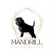 Mandrill Affenpinschers