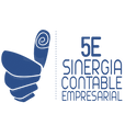 5e Sinergia Contable y Empresarial 