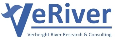 VERIVER Research & Consultancy
