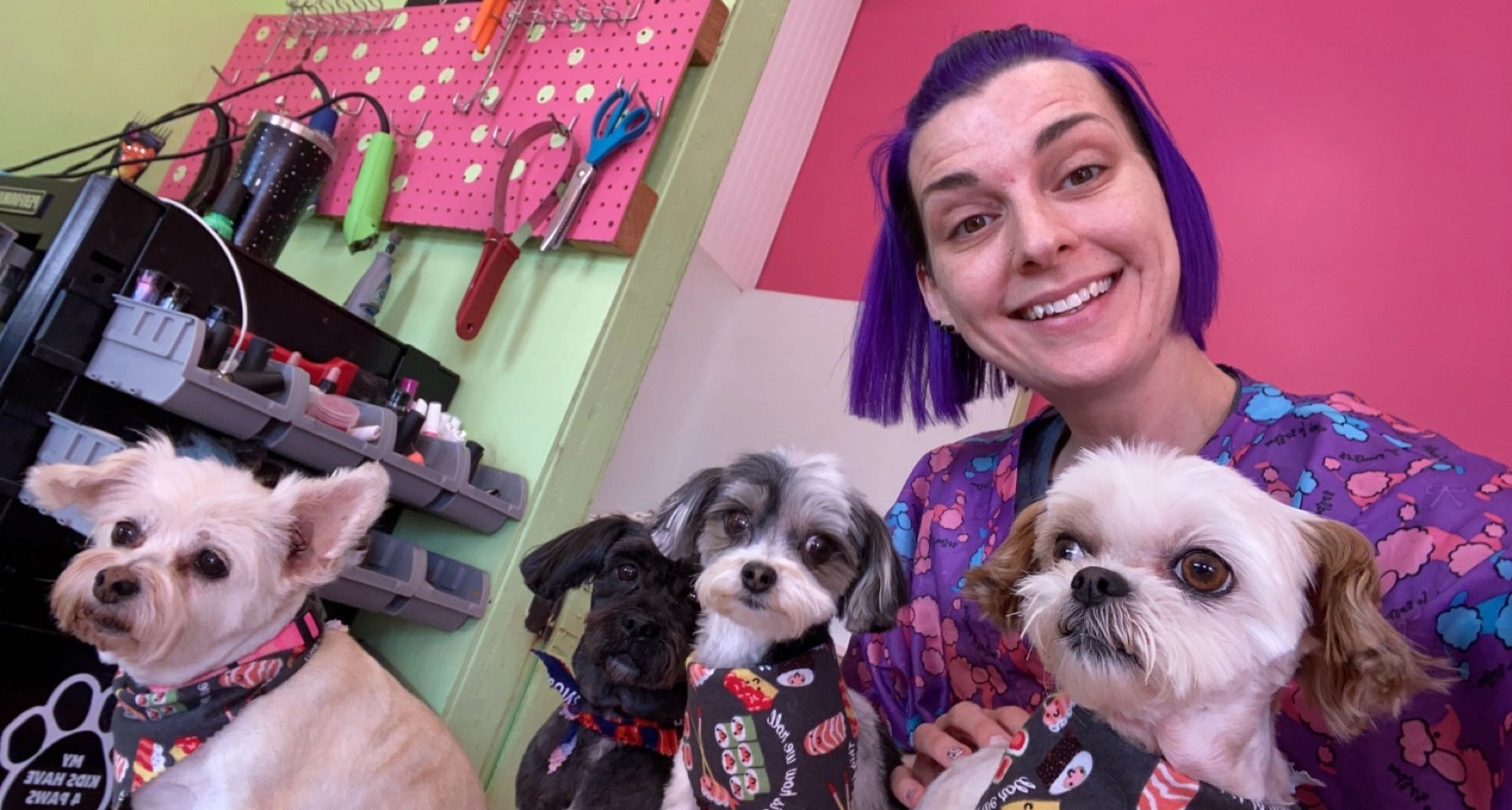 The Paw Spa Of Saint Joseph Mo