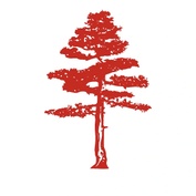 Davis Dental Group Collections