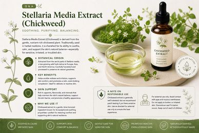 Stellaria Media Extract (Chickweed) for soothing, purifying, and balancing skin care.
