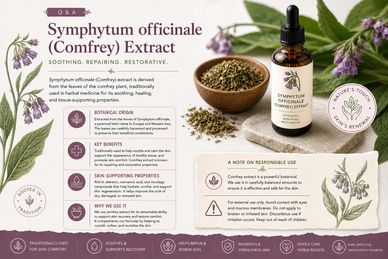 Symphytum officinale (Comfrey) Extract for soothing, repairing, and restoring skin.