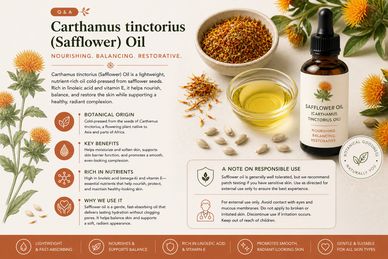 Informative infographic about Carthamus tinctorius (Safflower) Oil's benefits and uses.